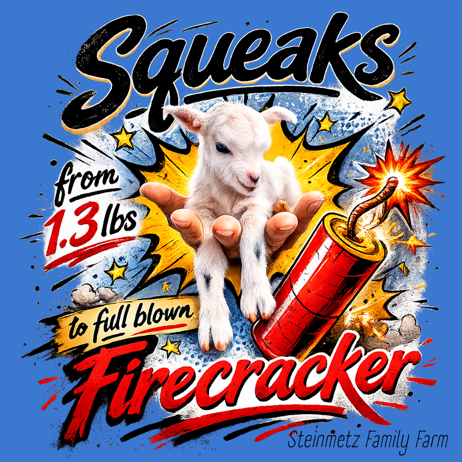 Squeaks Squad Adult T-shirt